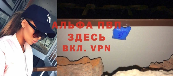 сатива Беломорск