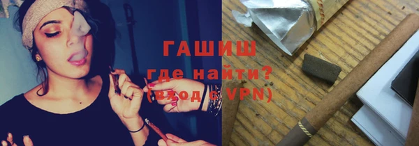 сатива Беломорск