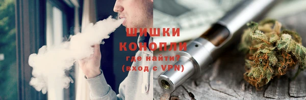 гидра Белокуриха