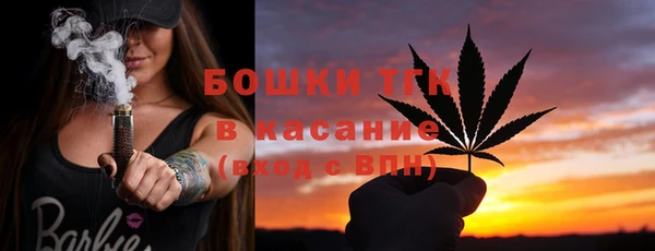 сатива Беломорск