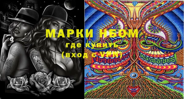 гидра Белокуриха
