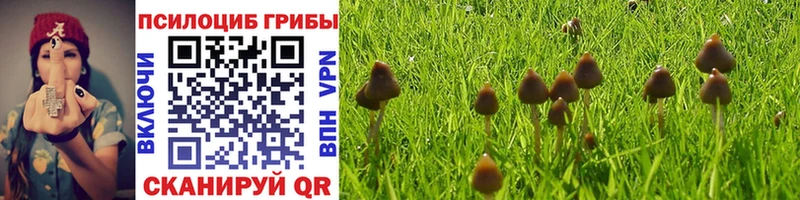 где найти   Очёр  Псилоцибиновые грибы ЛСД 
